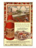 Tomato Sauce Catsup Sniders Oysters Tomatoes, USA, 1900 Posters