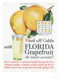 Florida Grapefruit, Colds Flu Fruit, USA, 1920 Photo