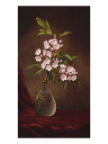 Laurel Blossoms in a Vase Giclee Print by Martin Johnson Heade