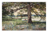 Pelham Bay Park, NYC, 1884 Reproduction procédé giclée par Harry Fenn
