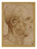 Caricature of the Head of an Old Man, in Profile to the Right, c.1507 reproduction procédé giclée par Leonardo da Vinci 
