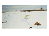 Polar Bear in an Arctic Landscape, 1899 Giclee Print by Richard Friese