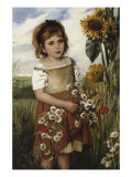 Flowers of the Field, 1883 Giclee Print by Emily S. Readshaw