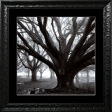 Oak Grove, Winter Prints by William Guion