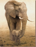 Momma's Boy Stretched Canvas Print by W. Michael Frye