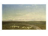 Landscape in Carneiros, Paisaje Con Carneiros Impressão giclée por Jose Velasco