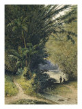 Bamboo Grove in Trinidad Giclee Print by Jean-michel Cazabon