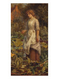 The Fair Gardener, 19th Century reproduction procédé giclée par Arthur Hughes