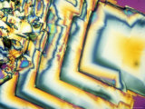 Cholesterol Acetate Photographic Print