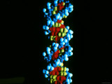DNA Double Helix, Deoxyribonucleic Acid Photographie