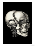 Human Skull Exploded View Giclee Print