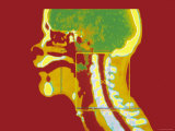 Human Skull and Brain Colorized Mri Photographie