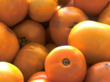 Yellow Tomatoes for Sale at Farmer's Market Photographic Print