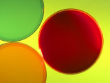 Multicolored Culture Media in Petri Dishes Photographic Print