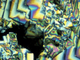 Thymol Photographic Print