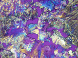 Testosterone, Polarized X62.5, 530 Nm Photographic Print