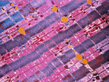 Skeletal Muscle Normal Tem Showing Banding X15 000 Photographic Print