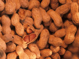 Peanuts in Shell Leguminous Annual Herb Photographic Print