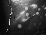 Underwater View of a Torpedo Being Launched from a Submarine Lámina fotográfica por J. R. Eyerman