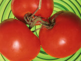 Red Ripe Tomatoes Food Green Glass Bowl Photographic Print