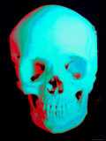 Human Skull Photographic Print