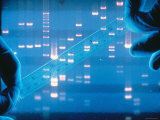 DNA Fingerprinting Closeup Electrophoresis Lámina fotográfica DNA Fingerprinting Closeup Electrophoresis Lámina fotográfica