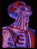 Upper Body Male Colorfully Photographic Print