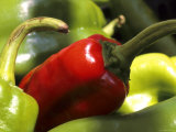 Red and Green Peppers Grocery Market Photographic Print