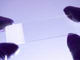 Glass Slide for Microscope for Mounting Specimens Photographic Print