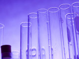 Laboratory Glassware Lab Testubes Test Tubes Photographic Print