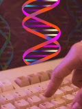 Conceptual DNA Research DNA Computers Finger Hand Photographie