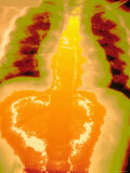 Normal Chest X-Ray Photographic Print