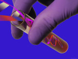 Conceptual DNA Research DNA in Test Tube Lámina fotográfica Conceptual DNA Research DNA in Test Tube Lámina fotográfica