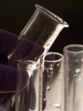 Laboratory Glassware Lab Testubes Test Tubes Photographic Print