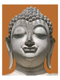 Aura II Posters by Boyce Watt