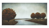 Silver Reflections Print by Patrick St. Germain