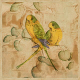 Songbirds I Prints by John Butler