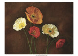 Poppy Perfection I Posters by Janel Pahl