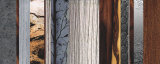 Evolutions I Prints by W. Blake