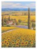 Sunflower Field Póster por Sung Kim