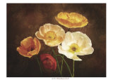 Poppy Perfection II Art par Janel Pahl