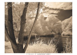 Lakefront View I Poster by Ily Szilagyi