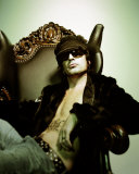 Tommy Lee Photo