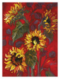 Tournesols I Poster par Shari White