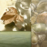 Zen Elements I Prints by Donna Geissler