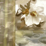 Donna Geissler - Zen Elements III - Reprodüksiyon Donna Geissler - Zen Elements III - Reprodüksiyon