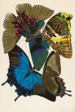 Collection I Prints