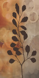 Flora I Print by Edward Aparicio