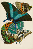 Collection III Arte