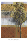 Edge of the Path Posters by Leslie Bernsen